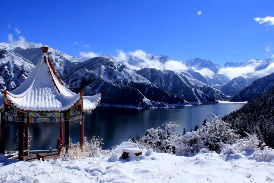 跟着委员去“探店”